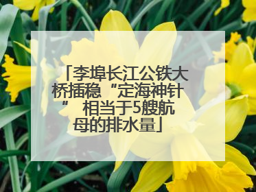 李埠长江公铁大桥插稳“定海神针” 相当于5艘航母的排水量