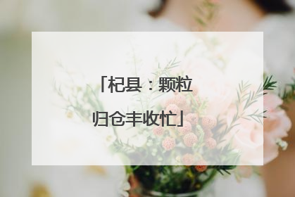 杞县：颗粒归仓丰收忙