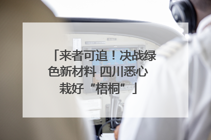 来者可追！决战绿色新材料 四川悉心栽好“梧桐”