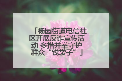 杨园街道电信社区开展反诈宣传活动 多措并举守护群众“钱袋子”