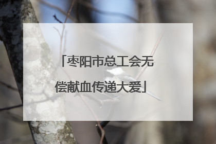 枣阳市总工会无偿献血传递大爱