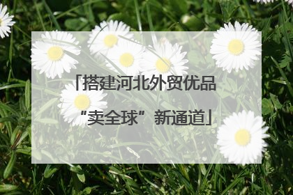 搭建河北外贸优品“卖全球”新通道