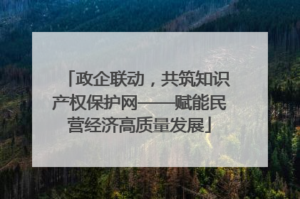 政企联动，共筑知识产权保护网——赋能民营经济高质量发展