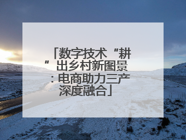 数字技术“耕”出乡村新图景：电商助力三产深度融合