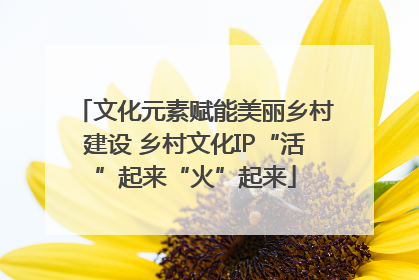 文化元素赋能美丽乡村建设 乡村文化IP“活”起来“火”起来