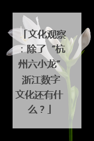 文化观察：除了“杭州六小龙” 浙江数字文化还有什么？