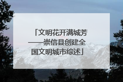 文明花开满城芳——崇信县创建全国文明城市综述