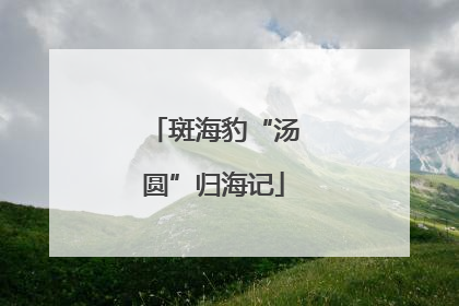 斑海豹“汤圆”归海记