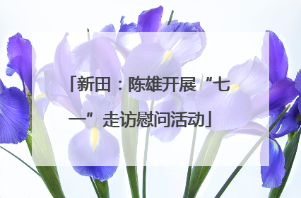 新田：陈雄开展“七一”走访慰问活动
