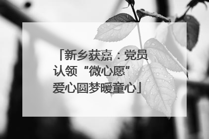 新乡获嘉：党员认领“微心愿” 爱心圆梦暖童心