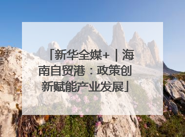 新华全媒+｜海南自贸港：政策创新赋能产业发展