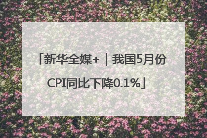 新华全媒+｜我国5月份CPI同比下降0.1%
