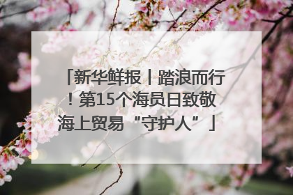 新华鲜报丨踏浪而行！第15个海员日致敬海上贸易“守护人”