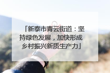 新泰市青云街道：坚持绿色发展，加快形成乡村振兴新质生产力