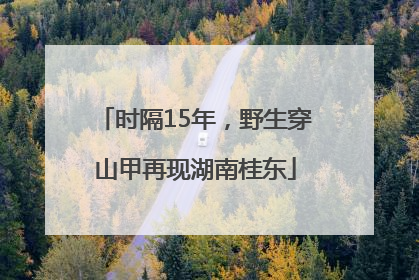 时隔15年，野生穿山甲再现湖南桂东