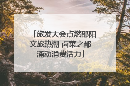 旅发大会点燃邵阳文旅热潮 卤菜之都涌动消费活力