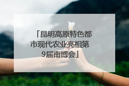 昆明高原特色都市现代农业亮相第9届南博会