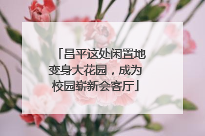 昌平这处闲置地变身大花园，成为校园崭新会客厅