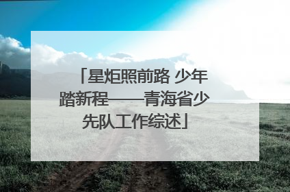 星炬照前路 少年踏新程——青海省少先队工作综述