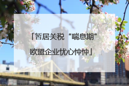 暂居关税“喘息期” 欧盟企业忧心忡忡