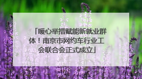 暖心举措赋能新就业群体！南京市网约车行业工会联合会正式成立