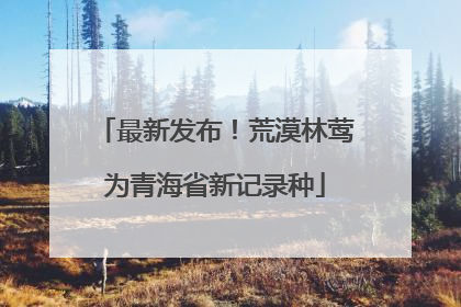 最新发布！荒漠林莺为青海省新记录种