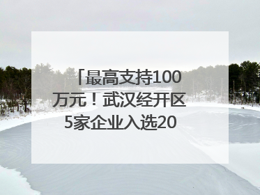最高支持100万元！武汉经开区5家企业入选2025年度武汉市重点研发计划拟立项项目名单