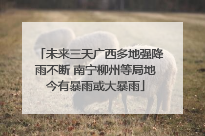 未来三天广西多地强降雨不断 南宁柳州等局地今有暴雨或大暴雨