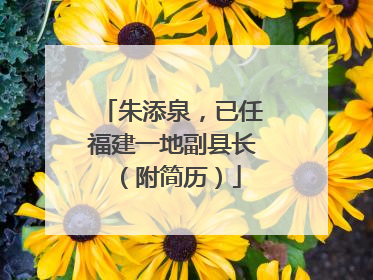 朱添泉，已任福建一地副县长（附简历）