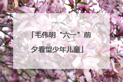 毛伟明“六一”前夕看望少年儿童