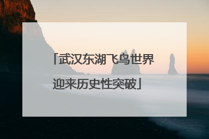 武汉东湖飞鸟世界迎来历史性突破
