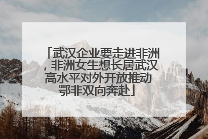 武汉企业要走进非洲，非洲女生想长居武汉 高水平对外开放推动鄂非双向奔赴