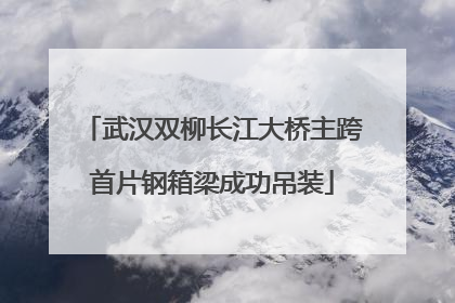 武汉双柳长江大桥主跨首片钢箱梁成功吊装