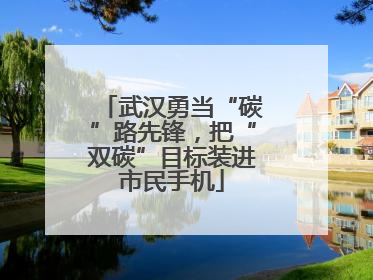 武汉勇当“碳”路先锋，把“双碳”目标装进市民手机