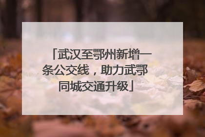 武汉至鄂州新增一条公交线，助力武鄂同城交通升级