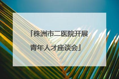 株洲市二医院开展青年人才座谈会