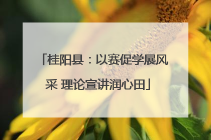 桂阳县：以赛促学展风采 理论宣讲润心田