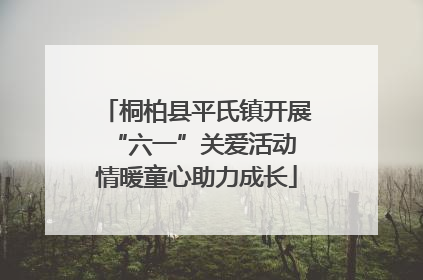 桐柏县平氏镇开展“六一”关爱活动 情暖童心助力成长