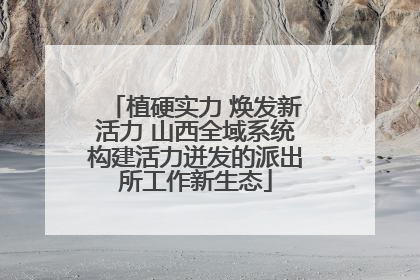 植硬实力 焕发新活力 山西全域系统构建活力迸发的派出所工作新生态