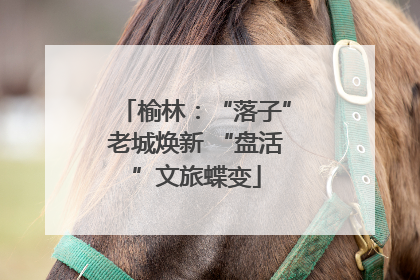 榆林：“落子”老城焕新 “盘活”文旅蝶变