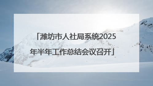 潍坊市人社局系统2025年半年工作总结会议召开