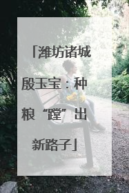 潍坊诸城殷玉宝：种粮“蹚”出新路子