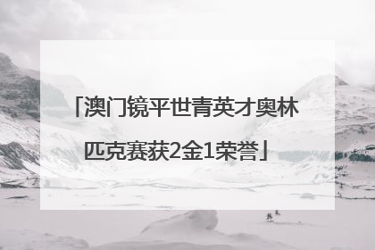 澳门镜平世青英才奥林匹克赛获2金1荣誉