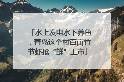 水上发电水下养鱼，青岛这个村百亩竹节虾抢“鲜”上市