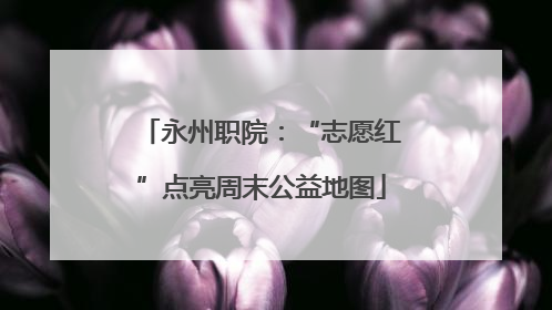 永州职院：“志愿红”点亮周末公益地图