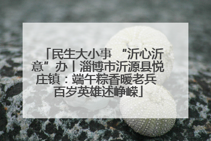 民生大小事 “沂心沂意”办丨淄博市沂源县悦庄镇：端午粽香暖老兵 百岁英雄述峥嵘
