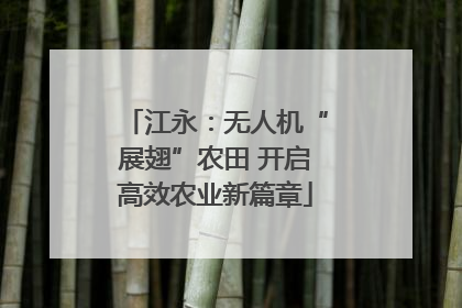 江永：无人机“展翅”农田 开启高效农业新篇章