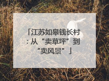 江苏如皋钱长村：从“卖草坪”到“卖风景”