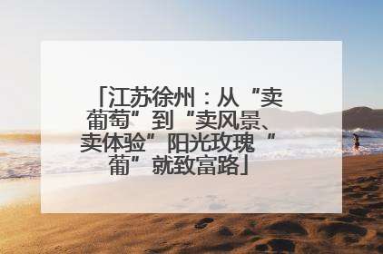江苏徐州：从“卖葡萄”到“卖风景、卖体验”阳光玫瑰“葡”就致富路