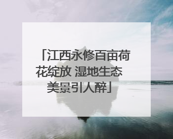 江西永修百亩荷花绽放 湿地生态美景引人醉